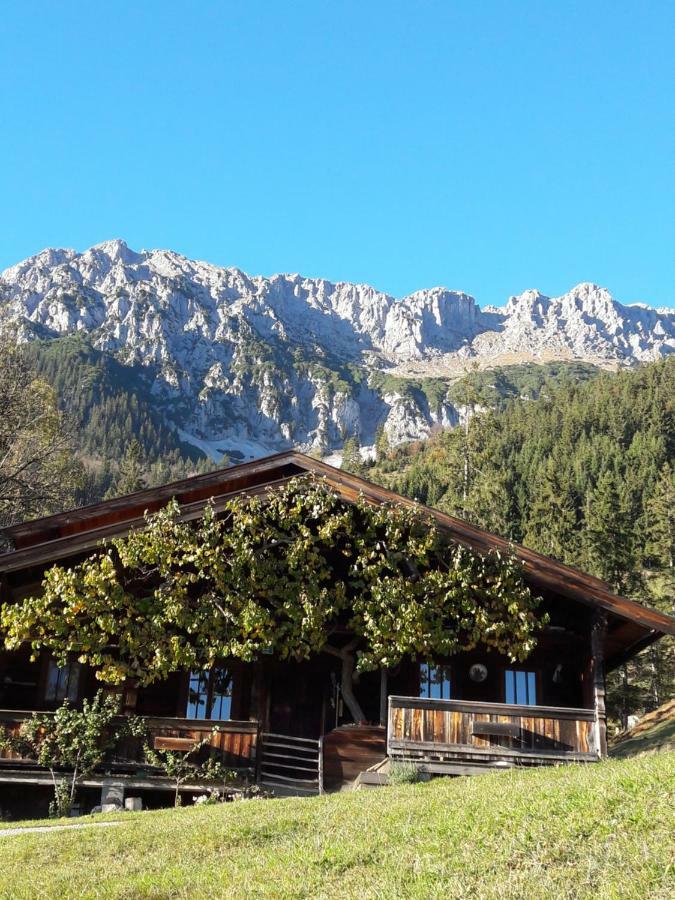 Gastehaus Poll Maria Appartement Scheffau am Wilden Kaiser Buitenkant foto