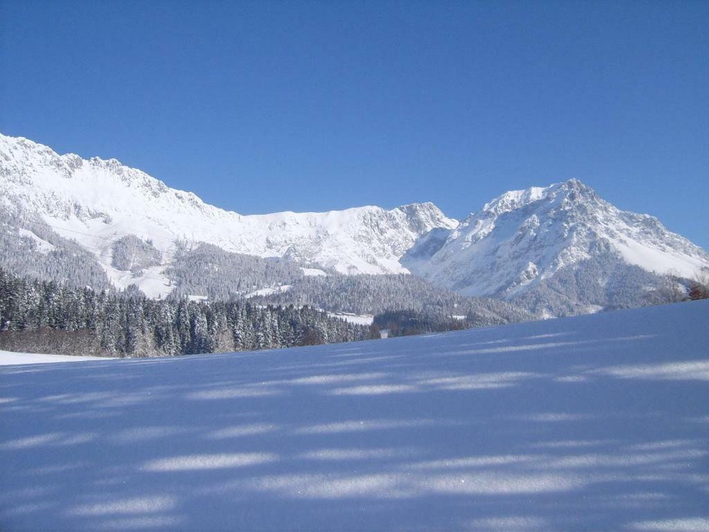 Gastehaus Poll Maria Appartement Scheffau am Wilden Kaiser Buitenkant foto