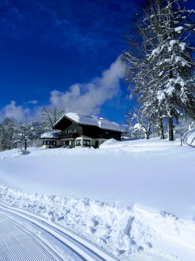 Gastehaus Poll Maria Appartement Scheffau am Wilden Kaiser Buitenkant foto